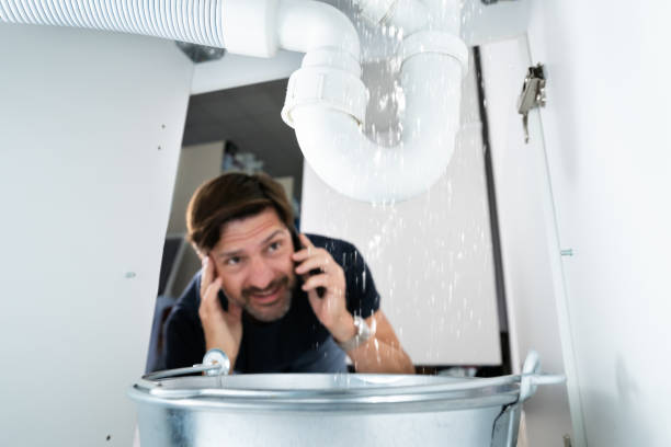 Best Plumbing Repair Near Me  in Bridge City, TX